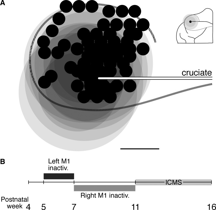 FIG. 1.