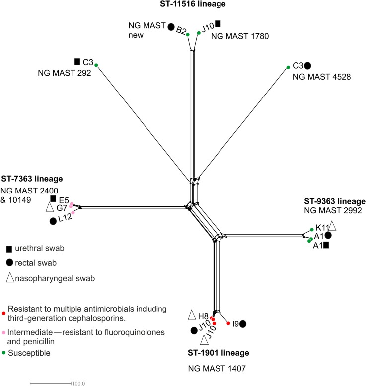 Figure 2