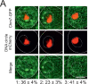 Figure 4—figure supplement 1.