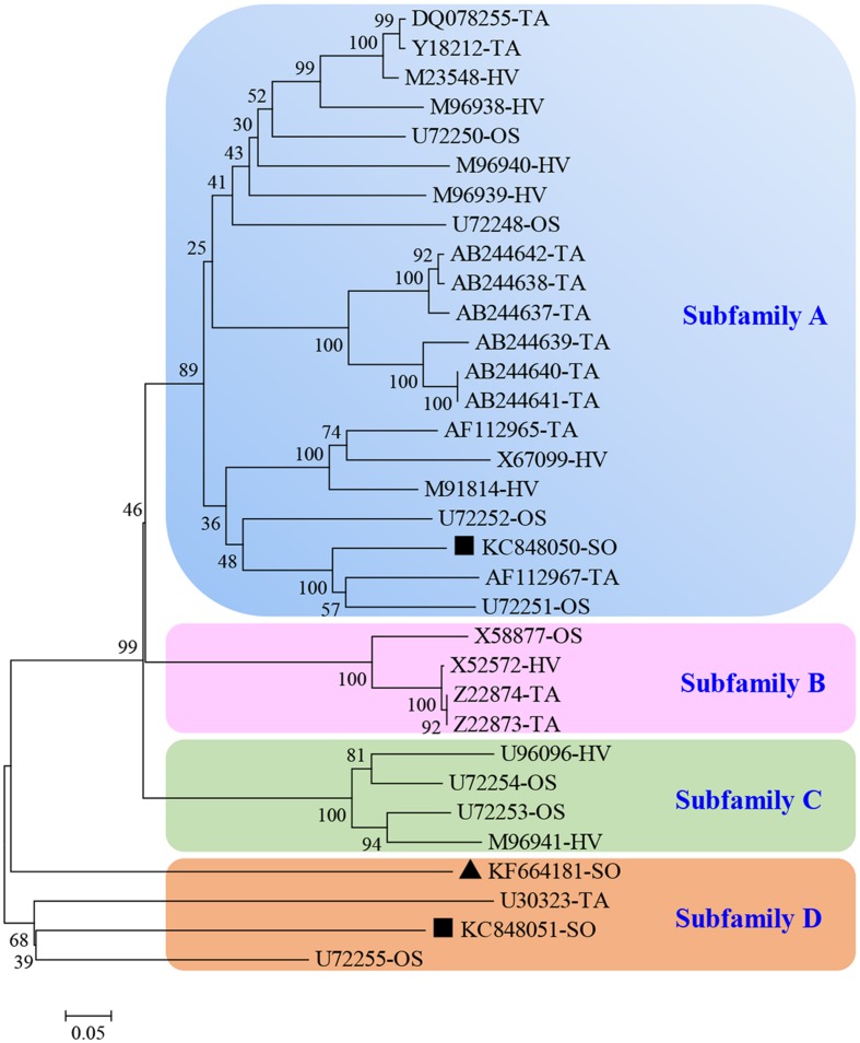 FIGURE 2