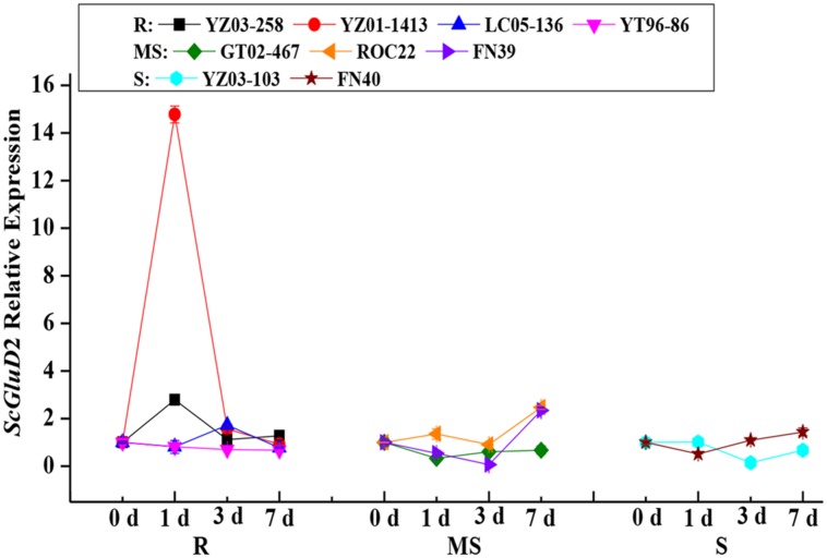 FIGURE 3