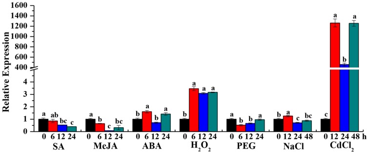 FIGURE 4