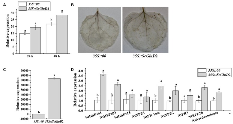 FIGURE 6