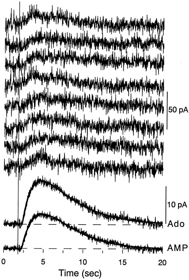 Fig. 3.