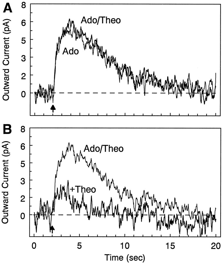 Fig. 5.