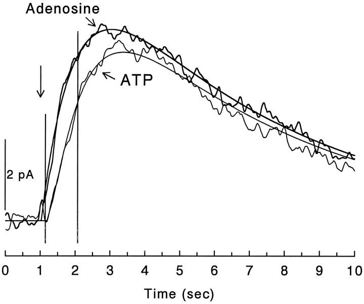 Fig. 8.