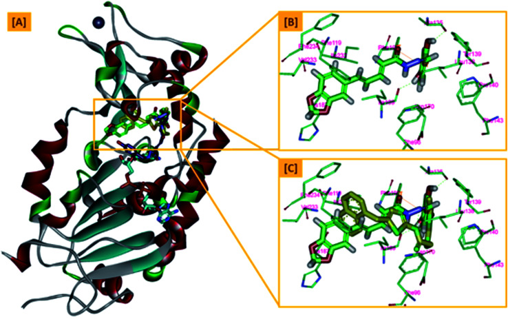 Fig. 7