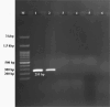 Fig. 3:
