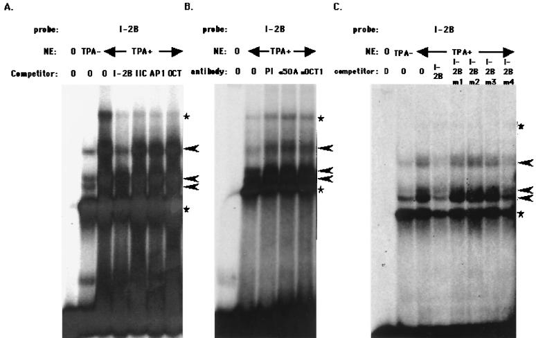 FIG. 6.