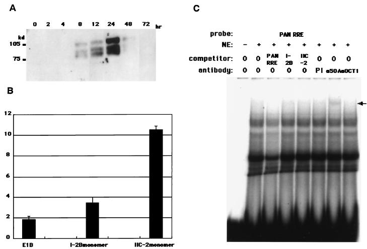 FIG. 5.