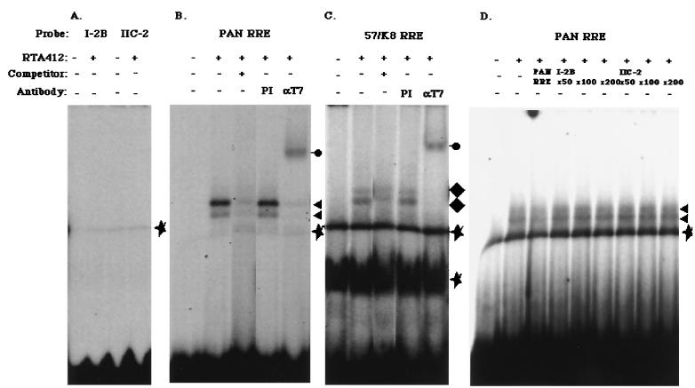 FIG. 8.