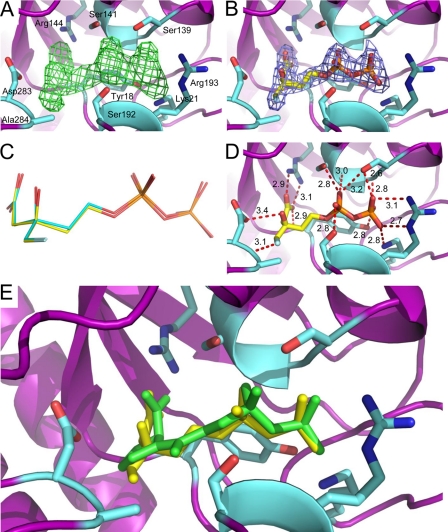 FIGURE 4.