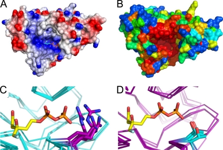 FIGURE 6.