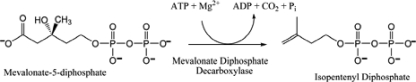 REACTION 1