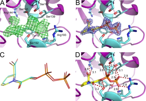 FIGURE 3.