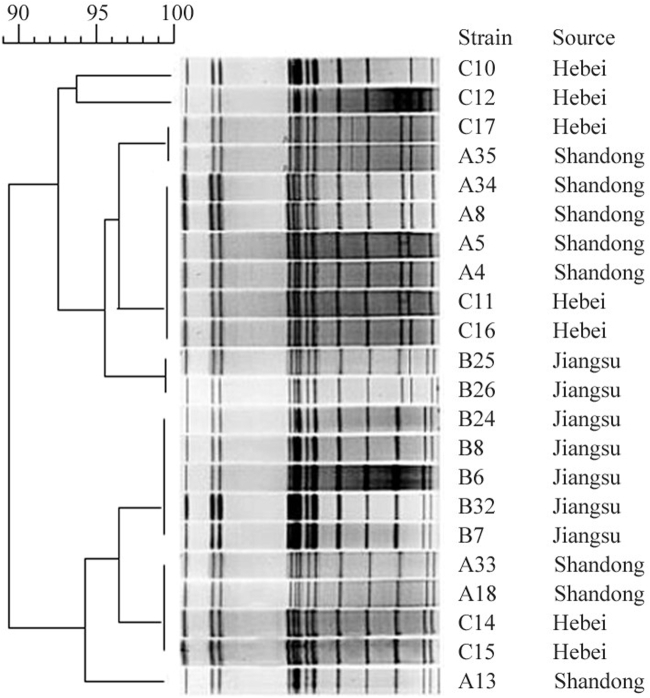 Figure 4