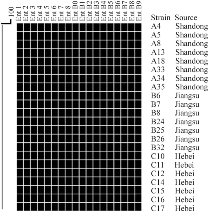 Figure 3