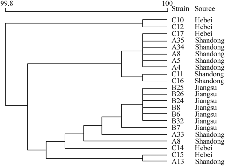 Figure 5