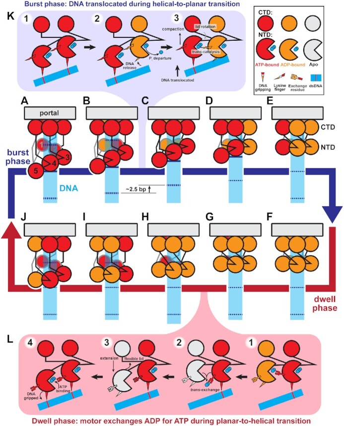 Figure 7.