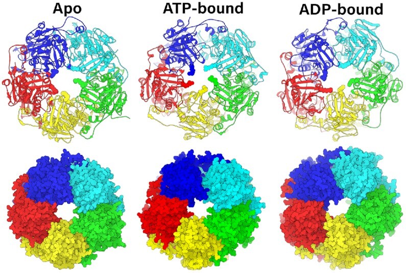 Figure 4.