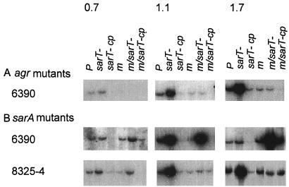 FIG. 7