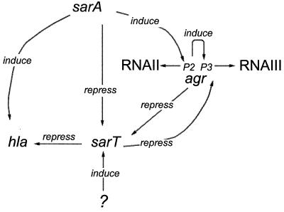 FIG. 9