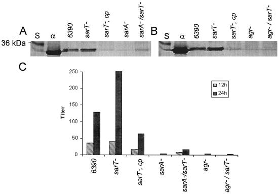 FIG. 8