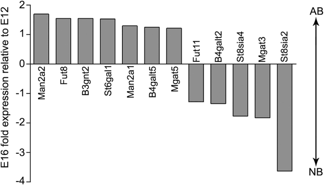 Figure 1