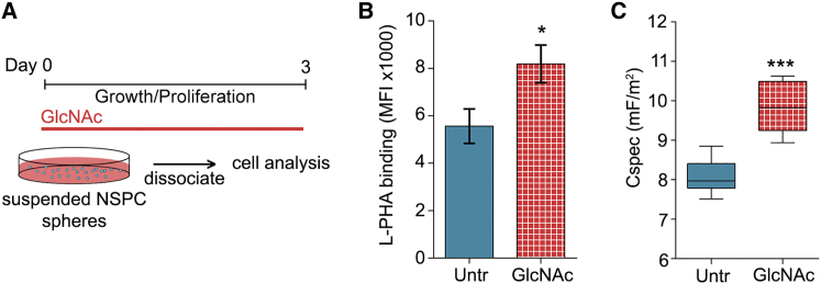 Figure 4