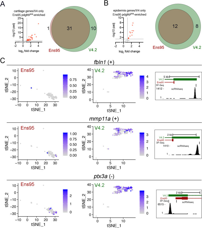 Figure 5—figure supplement 1.