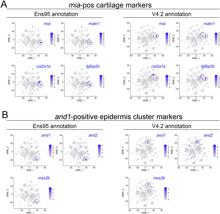 Figure 4—figure supplement 2.