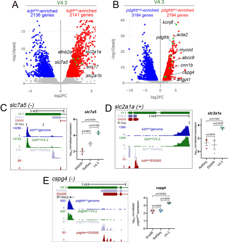 Figure 3—figure supplement 2.