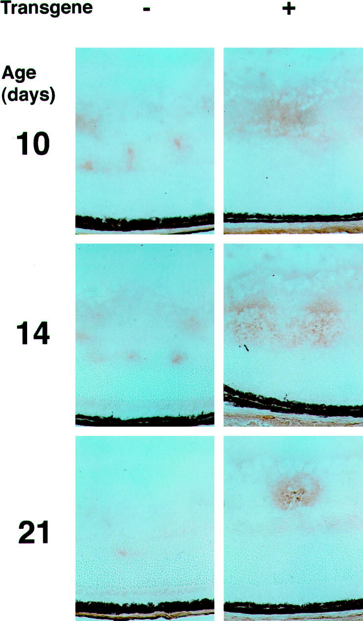 Figure 10.