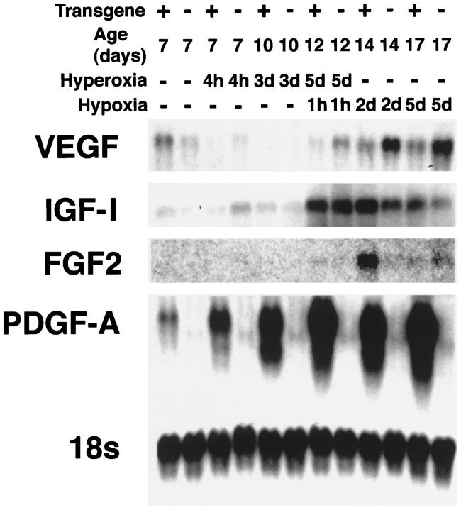 Figure 9.