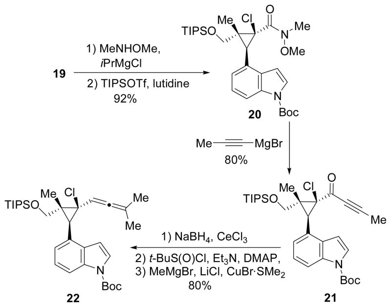 Scheme 4