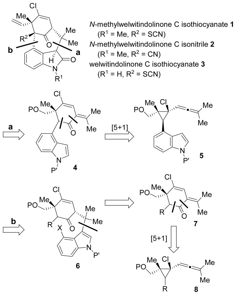 Scheme 1