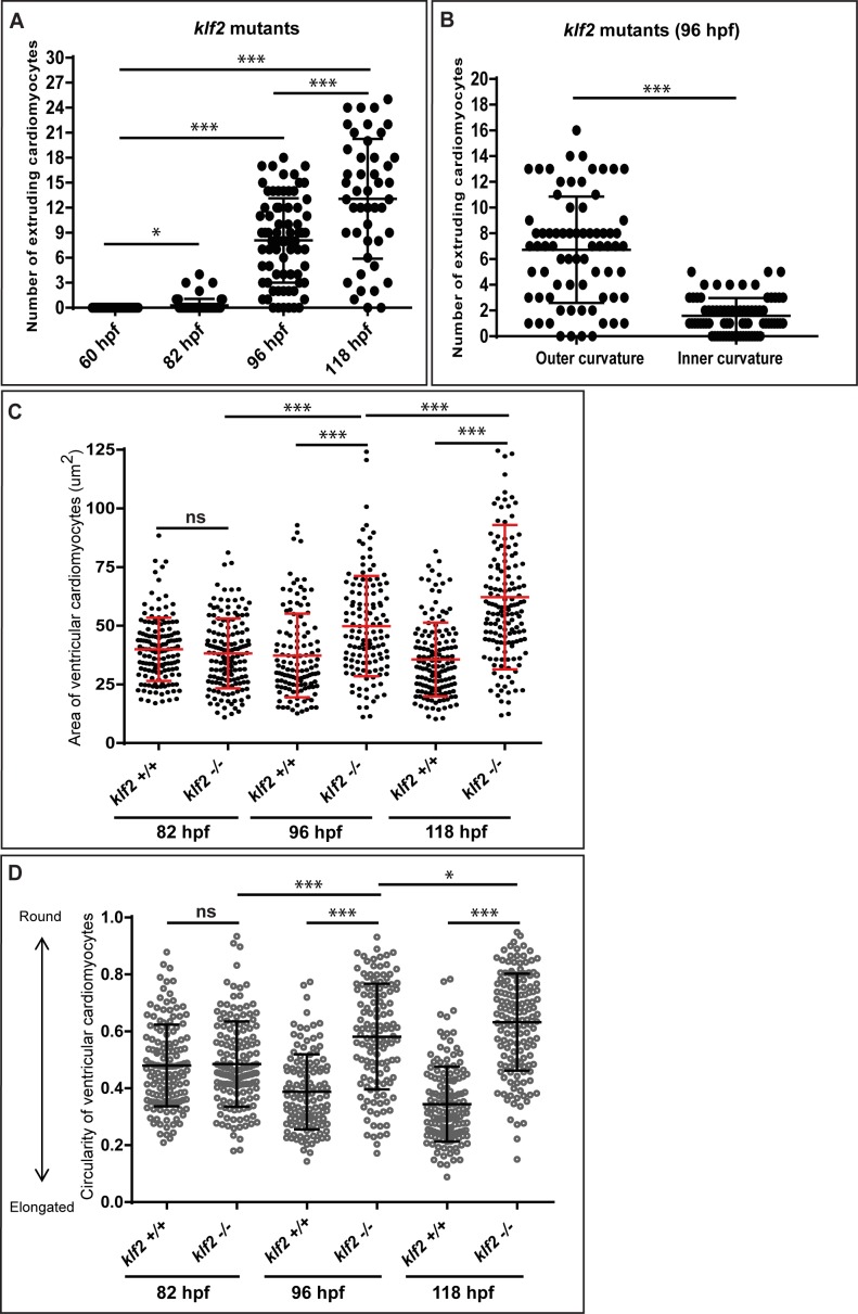 Figure 1—figure supplement 4.