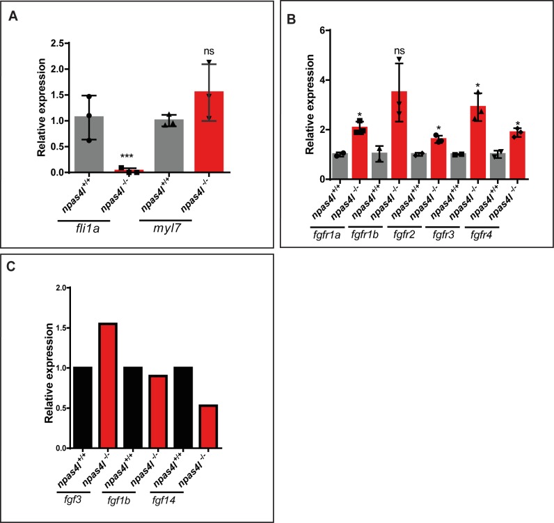 Figure 6—figure supplement 9.