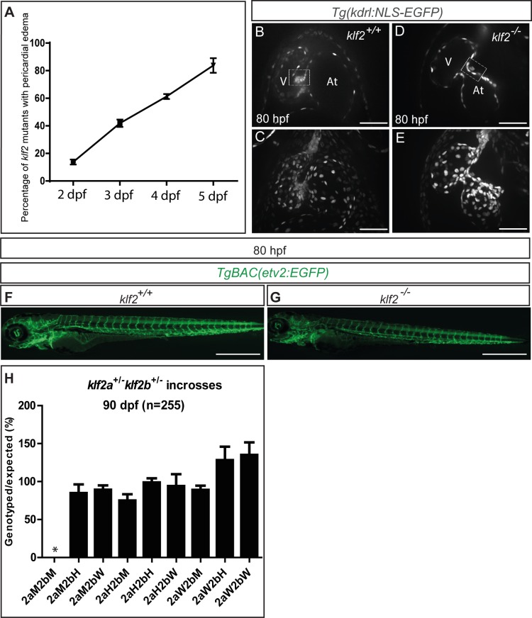 Figure 1—figure supplement 3.