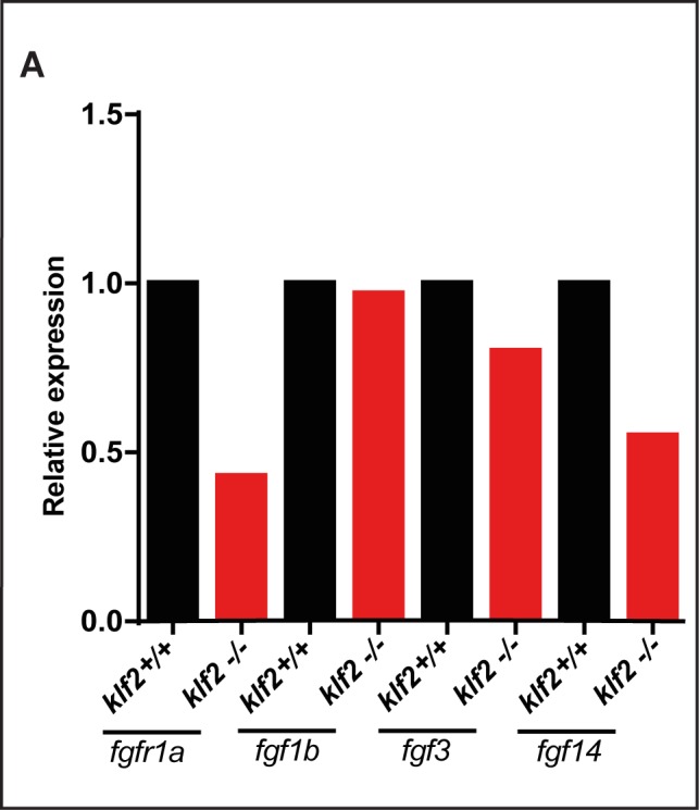 Figure 6—figure supplement 4.