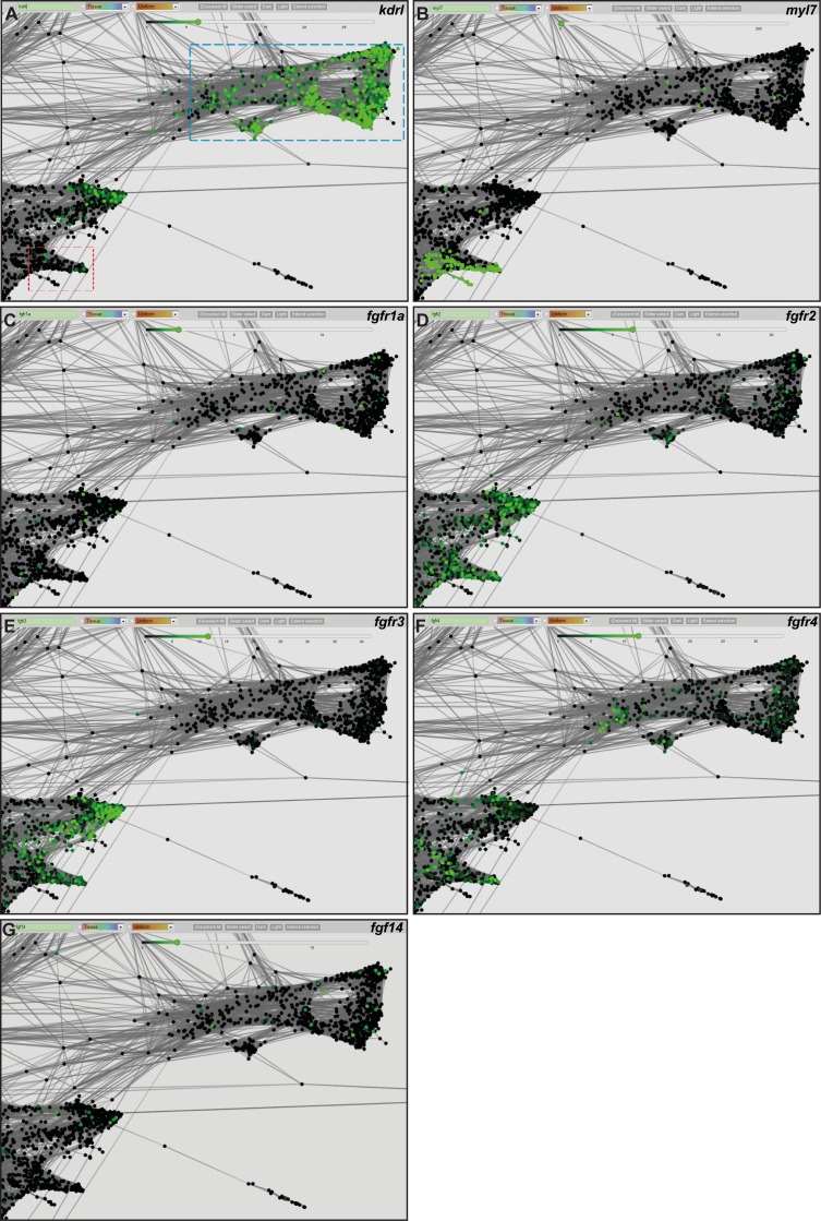 Figure 6—figure supplement 8.