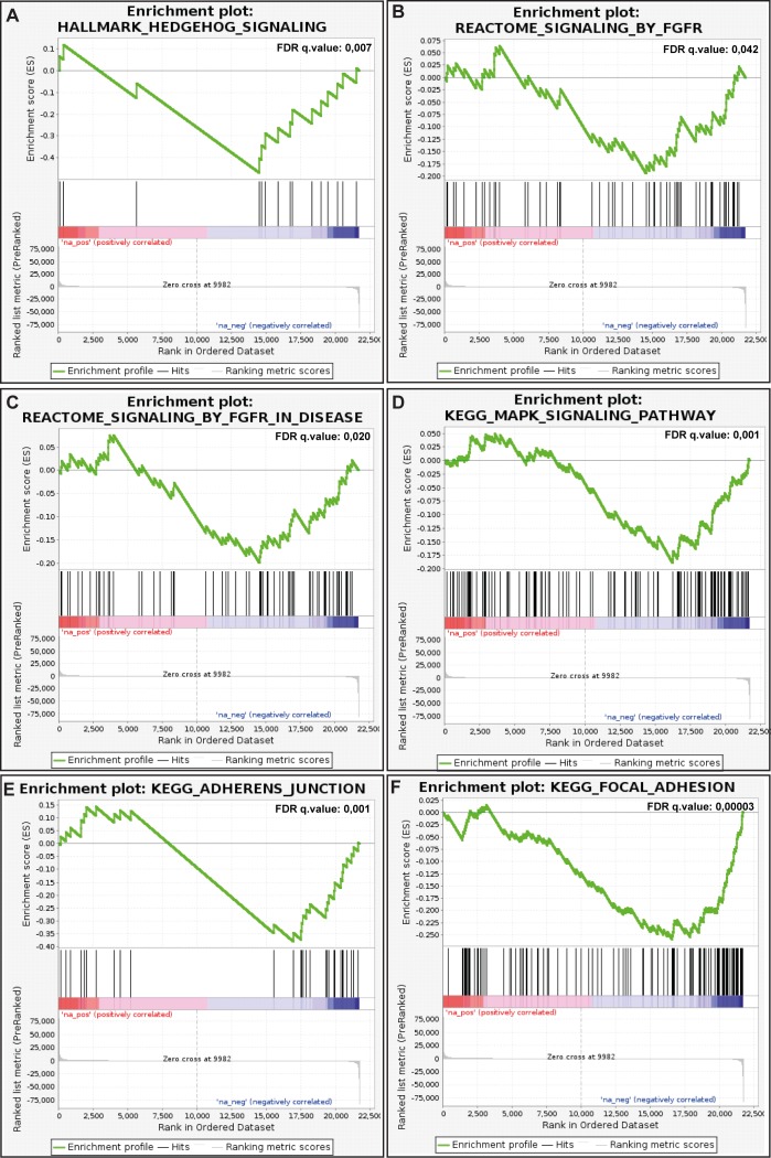 Figure 6—figure supplement 2.