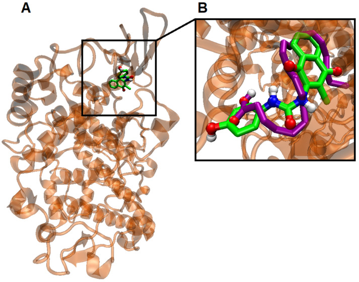 Figure 10