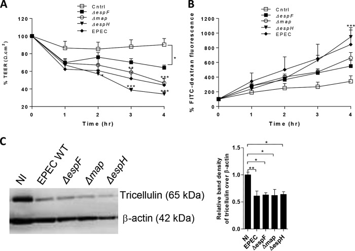 FIG 3