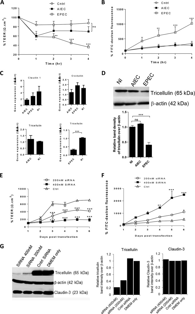 FIG 1