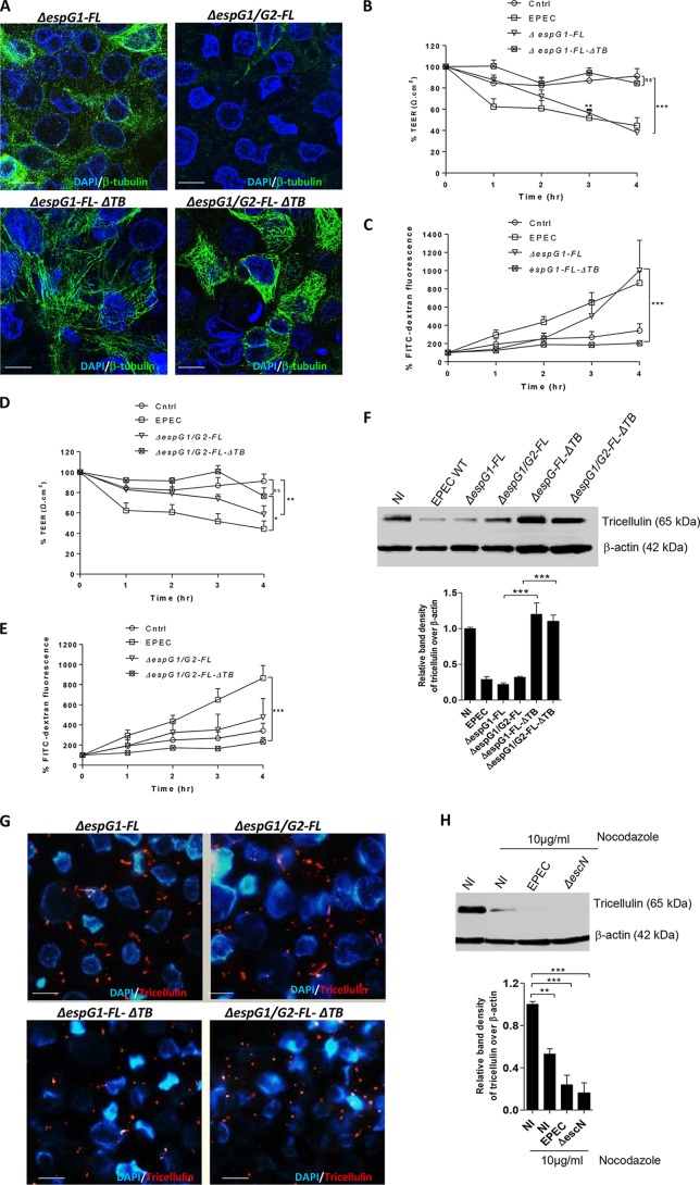 FIG 6