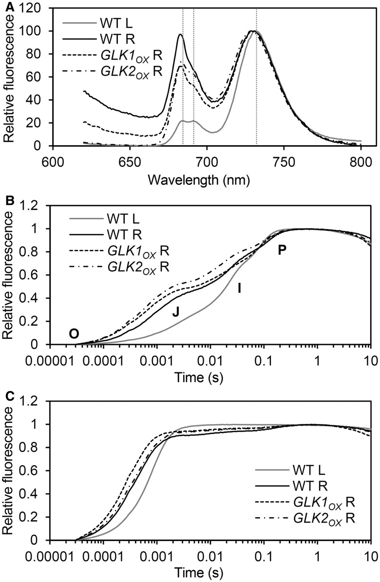 Fig. 5