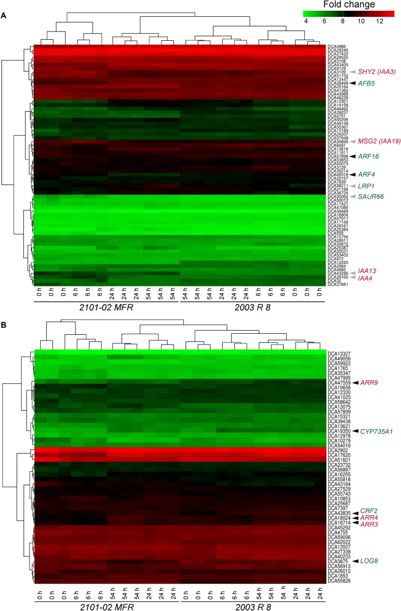 FIGURE 6