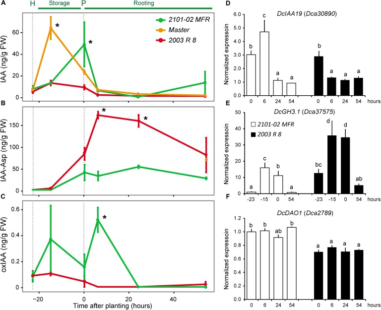 FIGURE 4