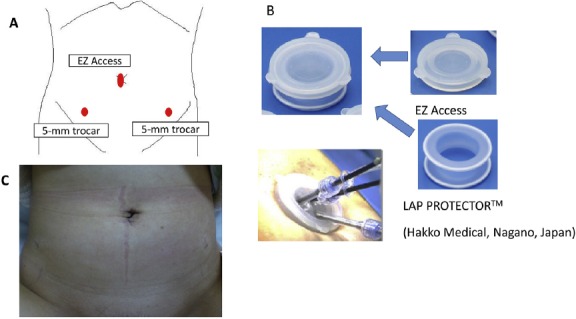 Fig. 2